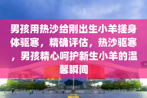 男孩用熱沙給剛出生小羊搓身體驅(qū)寒，精確評估，熱沙驅(qū)寒，男孩精心呵護新生小羊的溫馨瞬間