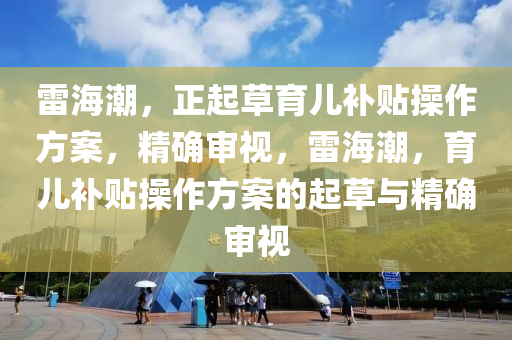 雷海潮，正起草育兒補(bǔ)貼操作方案，精確審視，雷海潮，育兒補(bǔ)貼操作方案的起草與精確審視