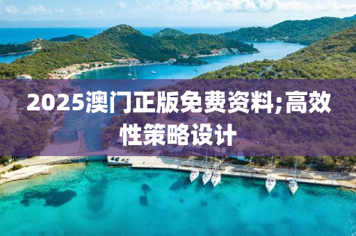 2025澳門正版免費(fèi)資木工機(jī)械,設(shè)備,零部件料;高效性策略設(shè)計(jì)