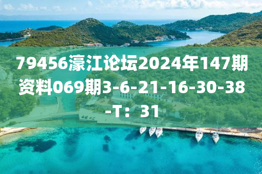 79456濠江論壇2024年147期資料069期3-6-21-16-30-38-T：31