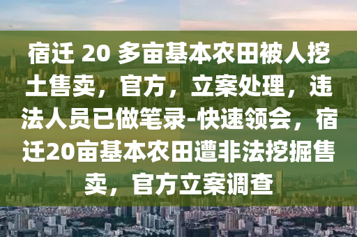 宿遷 20 多畝基本農(nóng)田被人挖土售賣，官方，立案處理，違法人員已做筆錄-快速領(lǐng)會，宿遷20畝基本農(nóng)田遭非法挖掘售賣，官方立案調(diào)查