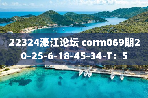 22324濠江論壇 corm069期20-25-6-18-45-34-T：5