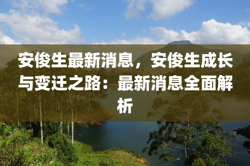 安俊生最新消息，安俊生成長與變遷之路：最新消息全面解析木工機(jī)械,設(shè)備,零部件