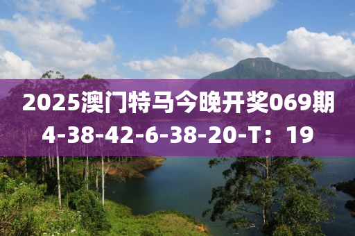 2025澳門特馬今晚開獎(jiǎng)069期4-38-42-6-38-20-T：19