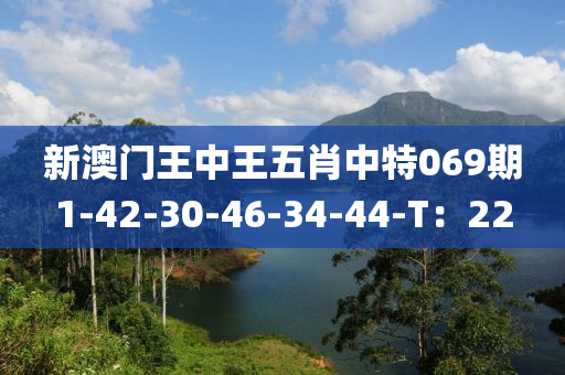 新澳門王中王五肖中特069期1-42-30-46-34-44-T：22