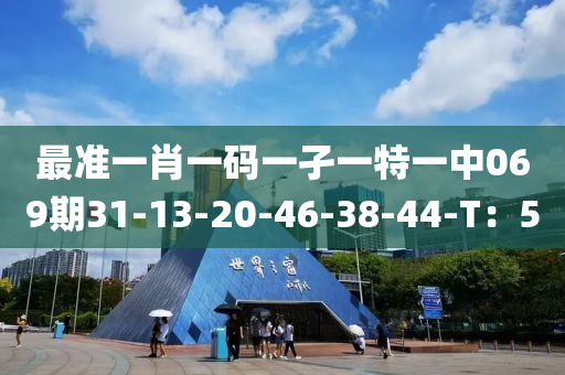 最準(zhǔn)一肖一碼一孑一特一中069期31-13-20-46-38-44-T：5