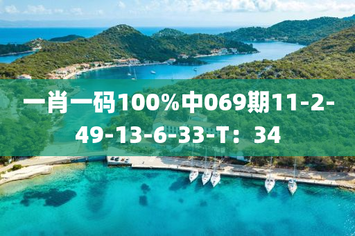 一肖一碼100%中069期11-2-49-13-6-33-T：34