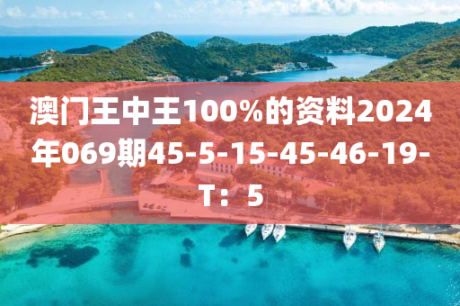 澳門王中王100%的資料2024年069期45-5-15-45-46-19-T：5