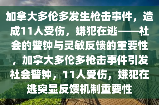 加拿大多倫多發(fā)生槍擊事件，造成11人受傷，嫌犯在逃——社會(huì)的警鐘與靈敏反饋的重要性，加拿大多倫多槍擊事件引發(fā)社會(huì)警鐘，11人受傷，嫌犯在逃突顯反饋機(jī)制重要性