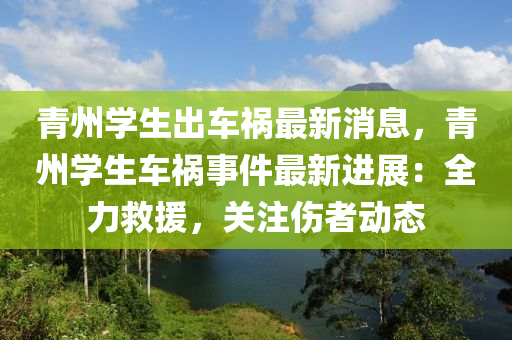 青州學(xué)生出車禍最新消息，青州學(xué)生車禍?zhǔn)录钚逻M(jìn)展：全力救援，關(guān)注傷者動態(tài)木工機(jī)械,設(shè)備,零部件