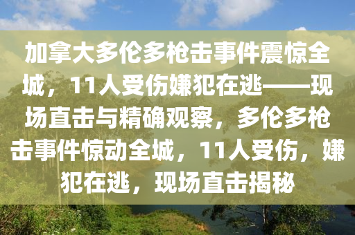 加拿大多倫多槍擊事件震驚全城，11人受傷嫌犯在逃——現(xiàn)場直擊與精確觀察，多倫多槍擊事件驚動全城，11人受傷，嫌犯在逃，現(xiàn)場直擊揭秘