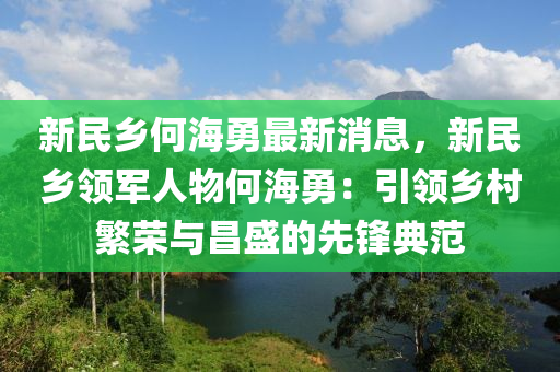 新民鄉(xiāng)何海勇最新消息，新民鄉(xiāng)領(lǐng)軍人物何海勇：引領(lǐng)鄉(xiāng)村繁榮與昌盛的先鋒典范