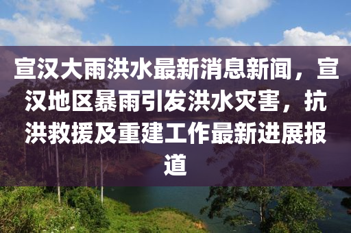 宣漢大雨洪水最新消息新聞，宣漢地區(qū)暴雨引發(fā)洪水災害，抗洪救援及重建工作最新進展報道木工機械,設備,零部件