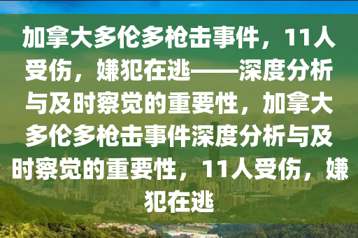 加拿大多倫多槍擊事件，11人受傷，嫌犯在逃——深度分析與及時察覺的重要性，加拿大多倫多槍擊事件深度分析與及時察覺的重要性，11人受傷，嫌犯在逃