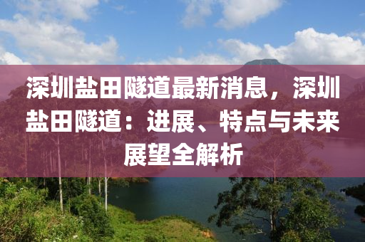 深圳鹽田隧道最新消息，深圳鹽田隧道：進(jìn)展、特點(diǎn)與未來展望全解析