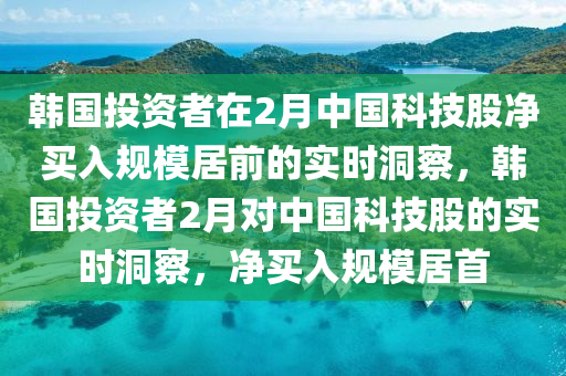 韓國投資者在2月中國科技股凈買入規(guī)模居前的實時洞察，韓國投資者2月對中國科技股的實時洞察，凈買入規(guī)模居首