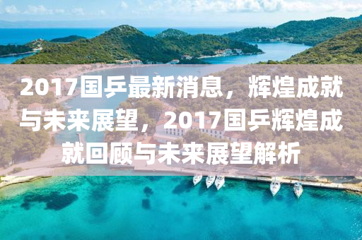 2017國乒最新消息，輝煌成就與未來展望，2017國乒輝煌成就回顧與未來展望解析