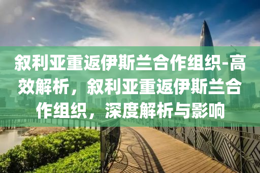 敘利亞重返伊斯蘭合作組織-高效解析，敘利亞重返伊斯蘭合作組織，深度解析與影響木工機(jī)械,設(shè)備,零部件