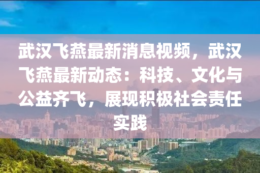 武漢飛燕最新消息視頻，武漢飛燕最新動態(tài)：科技、文化與公益齊飛，展現(xiàn)積極社會責任實踐