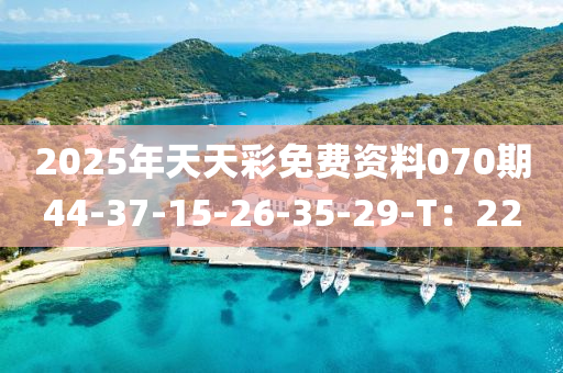 2025年天天彩免費(fèi)資料070期44-37-15-26-35-29-T：22