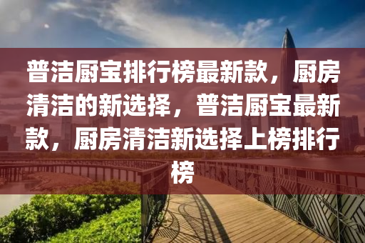 普潔廚寶排行榜最新款，廚房清潔的新選擇，普潔廚寶最新款，廚房清潔新選擇上榜排行榜