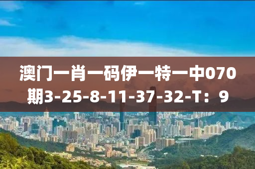 澳門一肖一碼伊一特一中070期3-25-8-11-37-32-T：9