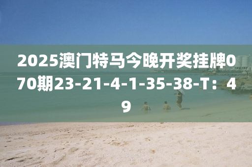 2025澳門特馬今晚開獎掛牌070期23-21-4-1-35-38-T：4木工機械,設(shè)備,零部件9