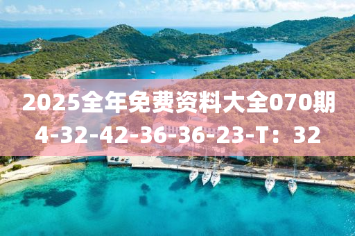 2025全年免費(fèi)資料大全070期4-32-42-36-36-23-T：32