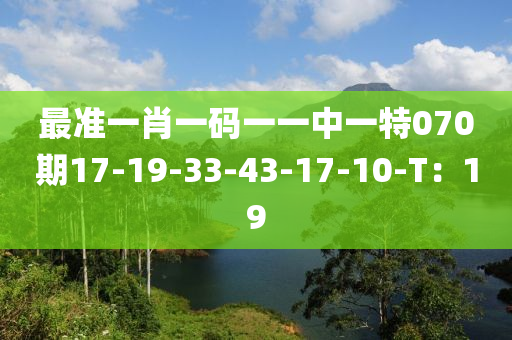 最準(zhǔn)一肖一碼一一中一特070期17-19-33-43-17-10-T：19