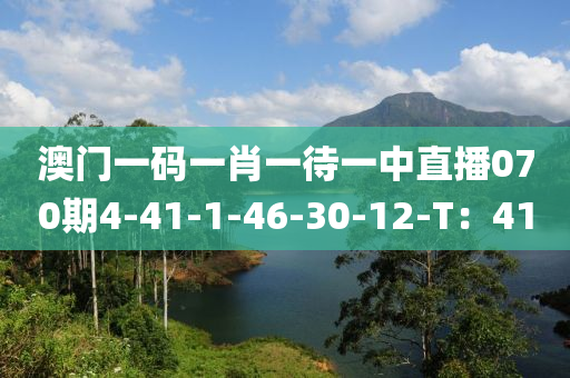 澳門一碼一肖一待一中直播070期4-41-1-46-30-12-T：41