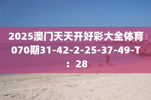 2025澳門天天開好彩大全體育070期31-42-2-25-37-49-T：28