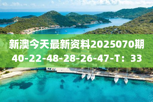 新澳今天最新資料2025070期40-22-48-28-26-47-T：33