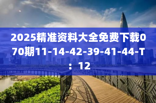 2025精準資料大全免費下載070期11-14-42-39-41-44-T：12