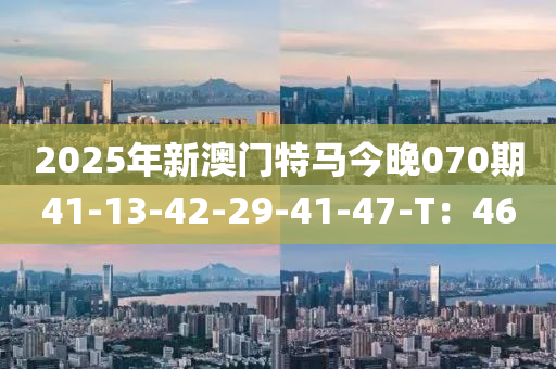 2025年新澳門特馬今晚070期41-13-42-29-41-47-T：46