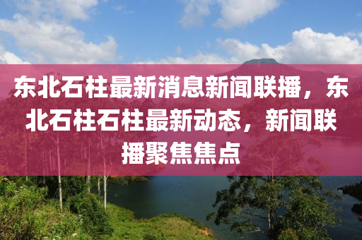 東北石柱最新消息新聞聯(lián)播，東北石柱石柱最新動態(tài)，新聞聯(lián)播聚焦焦點