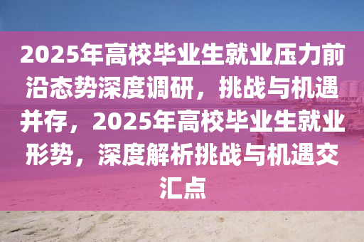 2025年高校畢業(yè)生就業(yè)壓力前沿態(tài)勢深度調(diào)研，挑戰(zhàn)與機遇并存，2025年高校畢業(yè)生就業(yè)形勢，深度解析挑戰(zhàn)與機遇交匯點