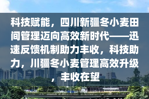 科技賦能，四川新疆冬小麥田間管理邁向高效新時代——迅速反饋機(jī)制助力豐收，科技助力，川疆冬小麥管理高效升級，豐收在望