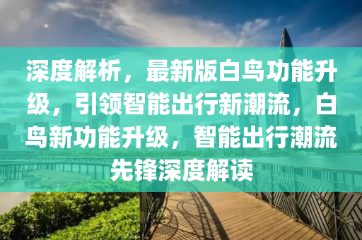 深度解析，最新版白鳥功能升級，引領(lǐng)智能出行新潮流，白鳥新功能升級，智能出行潮流先鋒深度解讀