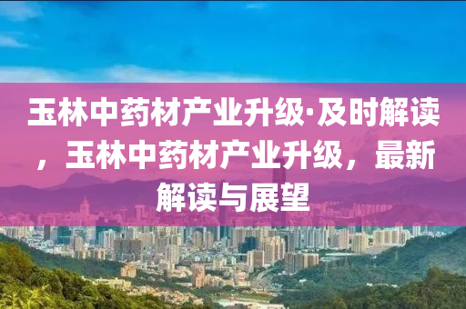 玉林中藥材產業(yè)升級·及時解讀，玉林中藥材產業(yè)升級，最新解讀與展望木工機械,設備,零部件