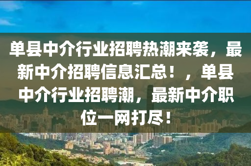 單縣中介行業(yè)招聘熱潮來襲，最新中介招聘信息匯總！，單縣中介行業(yè)招聘潮，最新中介職位一網(wǎng)打盡！