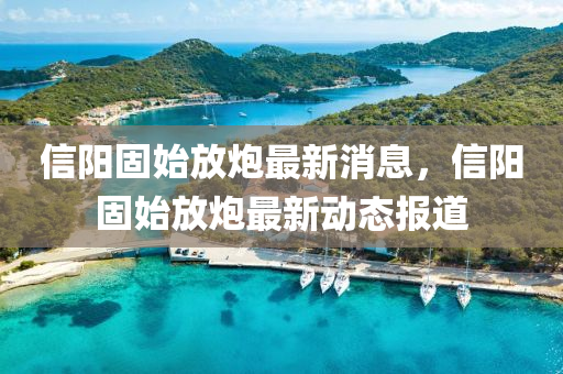 信陽固始放炮最新消息，信陽固始放炮最新動態(tài)報道