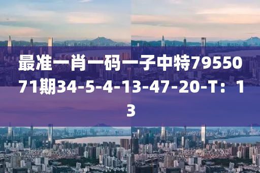 最準(zhǔn)一肖一碼一子中特7955071期34-5-4-13-47-20-T：13