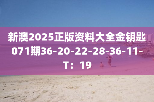 新澳2025正版資料大全金鑰匙071期36-20-22-28-36-11-T：19