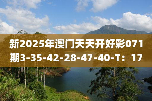 新2025年澳門天天開好彩071期3-35-42-28-47-40-T：17