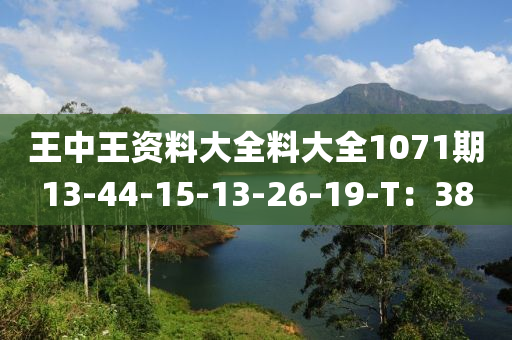 王中王資料大全料大全1071期13-44-15-13-26-19-T：38