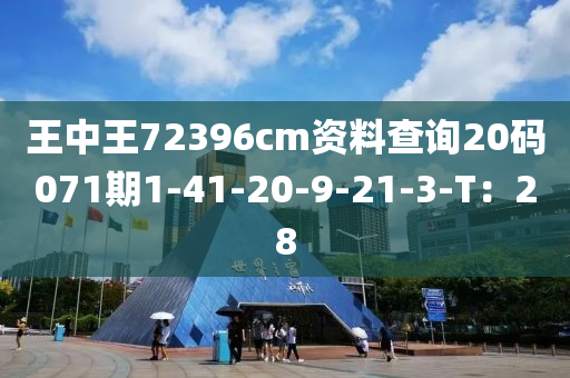 王中王72396cm資料查詢20碼071期1-41-20-9-21-3-T：28