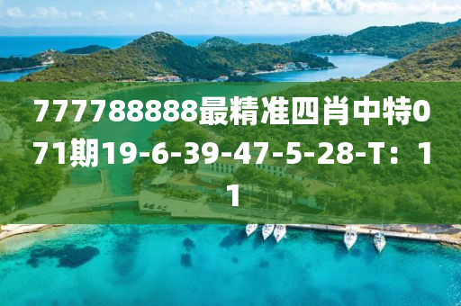 777788888最精準四肖中特071期19-6-39-47-5-28-T：11