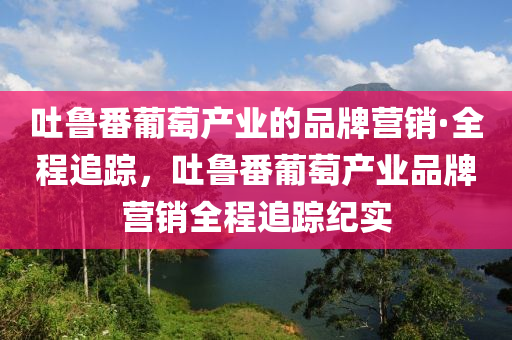 吐魯番葡萄產(chǎn)業(yè)的品牌營銷·全程追蹤，吐魯番木工機械,設備,零部件葡萄產(chǎn)業(yè)品牌營銷全程追蹤紀實