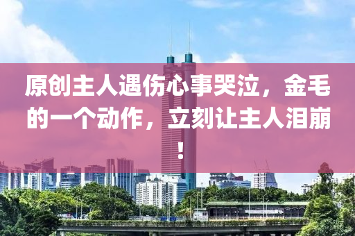 原創(chuàng)主人遇傷心事哭泣，金毛的一個(gè)動(dòng)作，立刻讓主人淚崩！