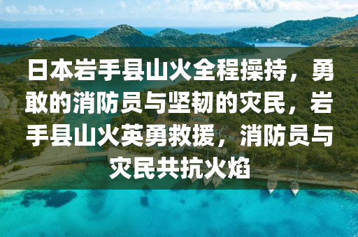 日本巖手縣山火全程操持，勇敢的消防員與堅韌的災(zāi)民，巖手縣山火英勇救援，消防員與災(zāi)民共抗火焰